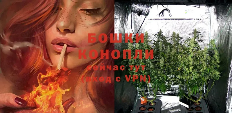 купить закладку  Верхнеуральск  Шишки марихуана OG Kush 